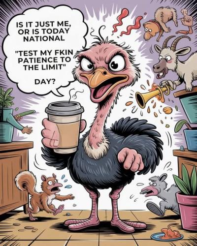 539558521_122150179556767800_4543089812166454433_n