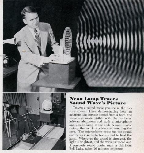 8f8bf1c8-c3c1-4e0f-946f-4d5039c2c87e