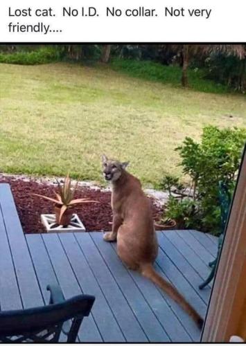 518376428_24992027940400848_1808191207622483087_n