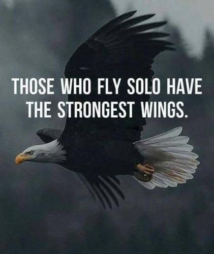 05a71f9c3ba5125511287c5fa5ba741d