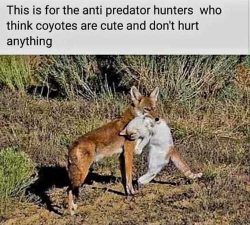 FB_IMG_1756232568044