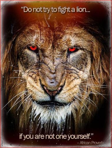 cf59525b9a1d1d1d688759a47b523175