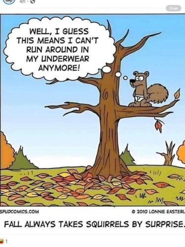 FB_IMG_1756149327530