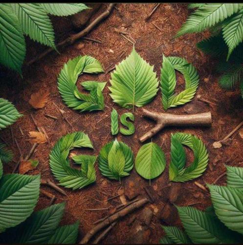 21522a4c-b53d-40f1-8ab8-0e14590407ea