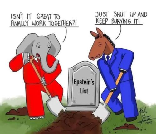 image_CE334185-C812-476D-9901-03C04875F0B2