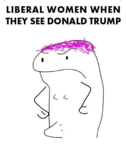 image_1A1424DB-7362-4205-B983-BA23CB964FBE