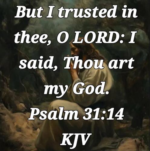 ad4d0a6d-1b43-4229-97f4-d206bbef2656