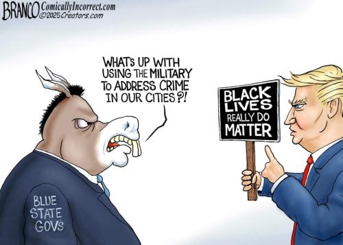 05-blm-trump-ci-1080-1050x750