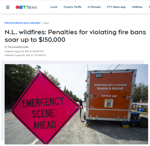 nfld fines
