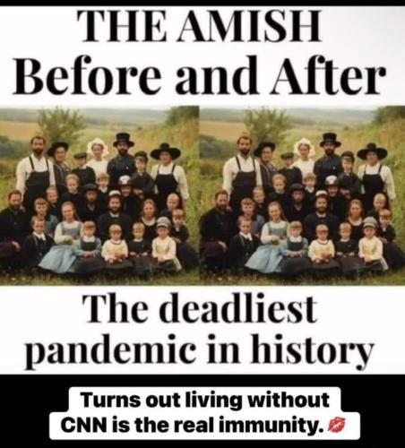 D9E1630F-59CF-43E7-9700-7876D0F7E626