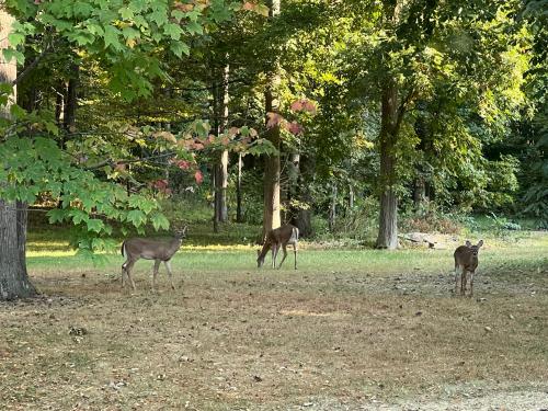 FEC62F8A-3ED8-4715-B33E-D6F7CDAF4954