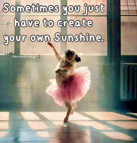 525513328_1190551879782841_6449415423746219355_n