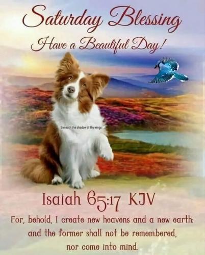 530404701_18020179166743683_1386425632391570739_n