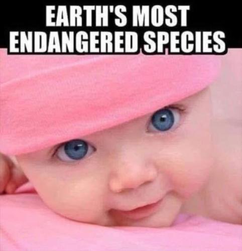 Endangered