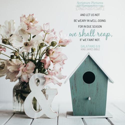 gal-6-9-KJV-unsplash