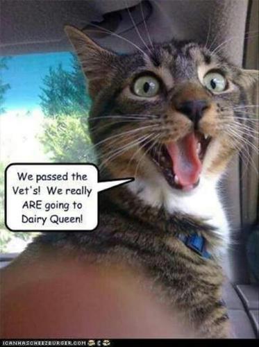 b9a0385760f3e69d33e87c07ef33c29b