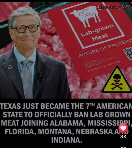 FD6E49C1-33B1-4B48-9271-4F979967111A