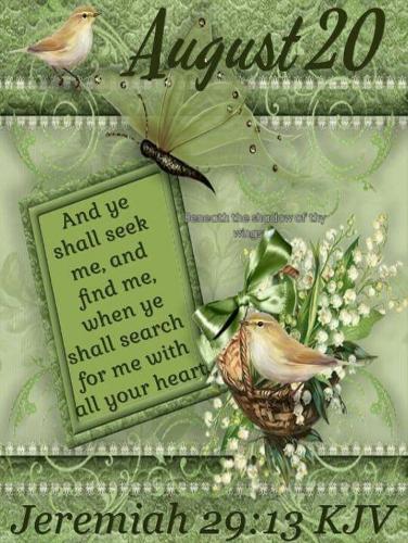 535855741_18021445388743683_3224590598026408225_n