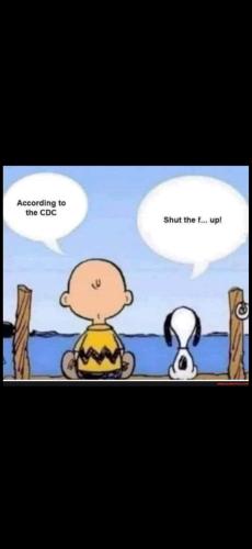 Screenshot_20250409_211240_Photos