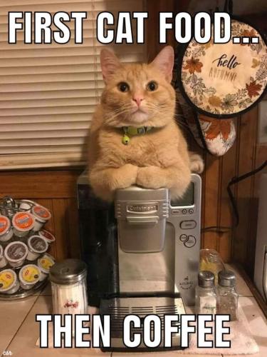 9f2f3325c421958e36e7e2743ad01dd6