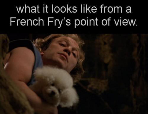 what it looks like from a French Frys point of view