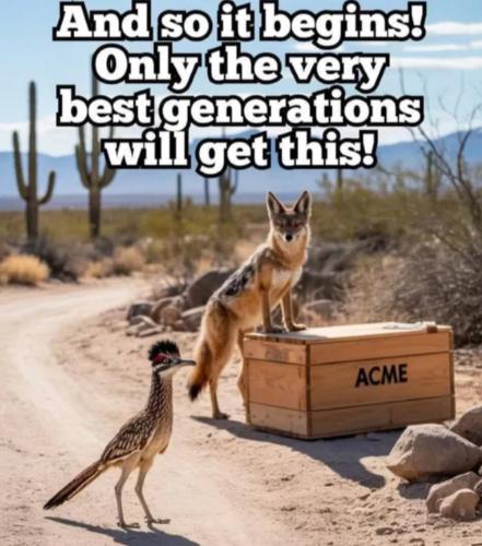 d0f44a1b-800e-4f2f-a8ab-9e38311d2b3c