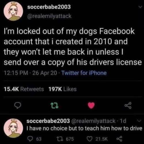 FB_IMG_1756413317029