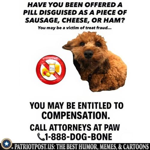 01K2E5269AABYC3E3NRK1RSSY9