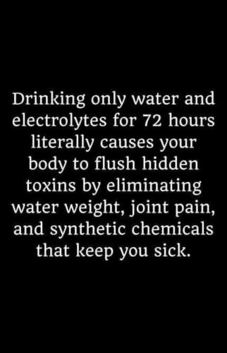 533217704_786559583896969_1056846779291921645_n