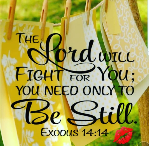 Screenshot_20250829-065520-327~2