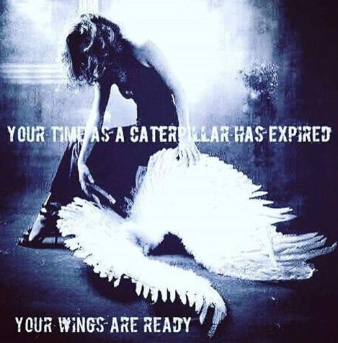 081f75e3f7acd9fa198d91ade58d6b8c