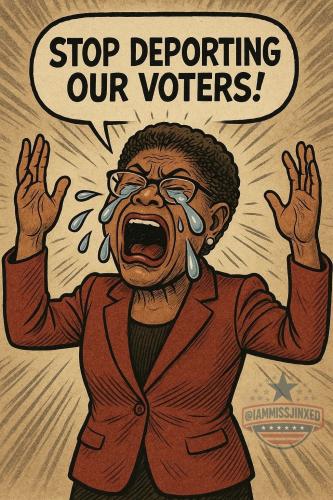 Cry Harder Democrats 1