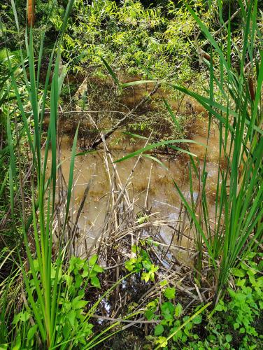 IMG_20250801_152842774_HDR