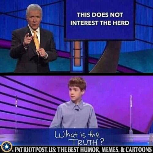 01K2SHYQFYAFNXM33GP8G746X9