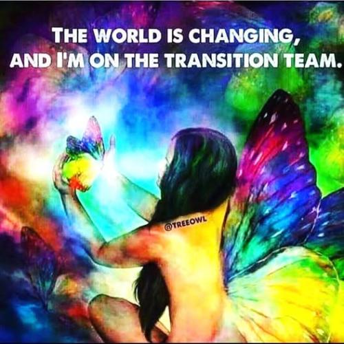 529467782_766175482965313_1669345744206794514_n