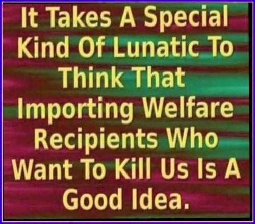 cc582c7bf53aa2357019a05c310db9a1