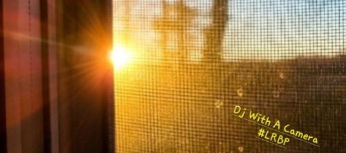 Screenshot_20250813_185017_Gallery