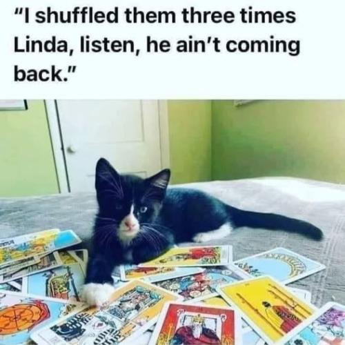 514396949_122221574870088259_7565469219477061814_n