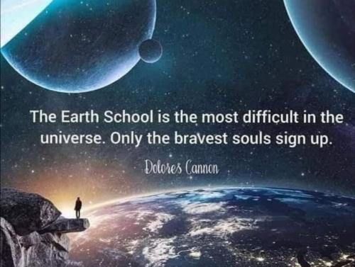 526575064_740339285370814_7060169163625087401_n