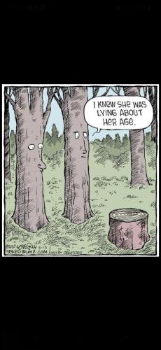 Screenshot_20250806_180015_Gallery