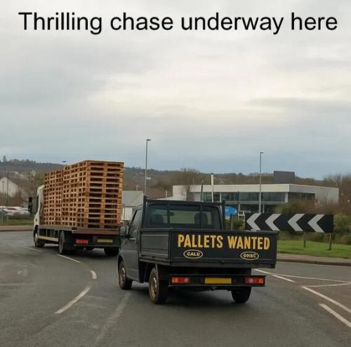thrilling-chase
