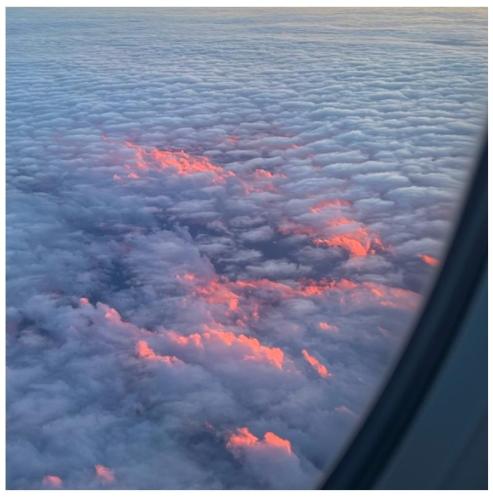 4f7d1fb4-b354-4ee4-b41c-575df73f768f