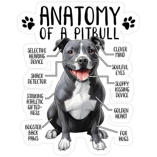 4da702103d82a9ffb47d0bd216639416