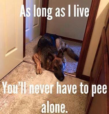 eb28b28d7f4379261d2608ec2ed594ec