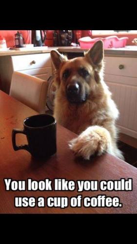 db1f3495471daee567476ccfcbccdcb0