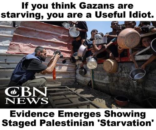If you think Gazans are starving, you are a Useful Idiot.768px