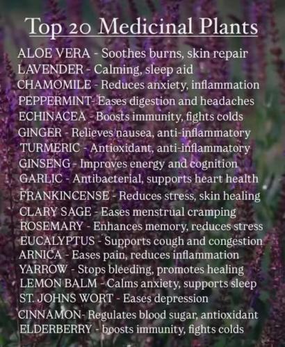 534807915_775126208736907_1678314749625911816_n