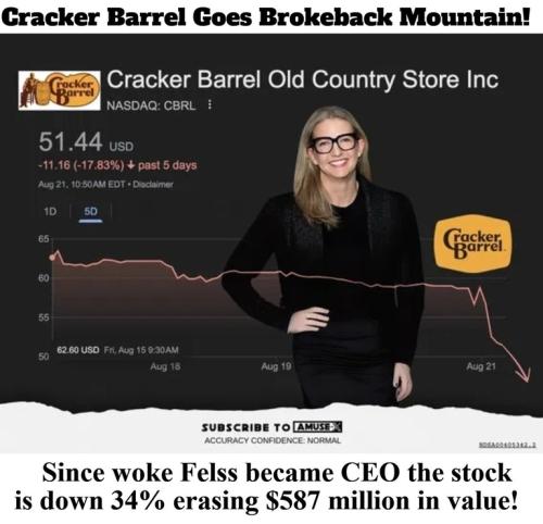 Cracker Barrel Goes Brokeback Mountain.768px