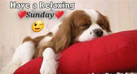 16ec670a26de4cdf2e50c9c26d7a7ade_l