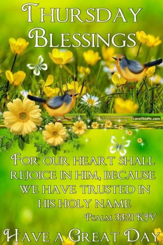 73a1eaeb181c3eb36113d711a90b8fd3